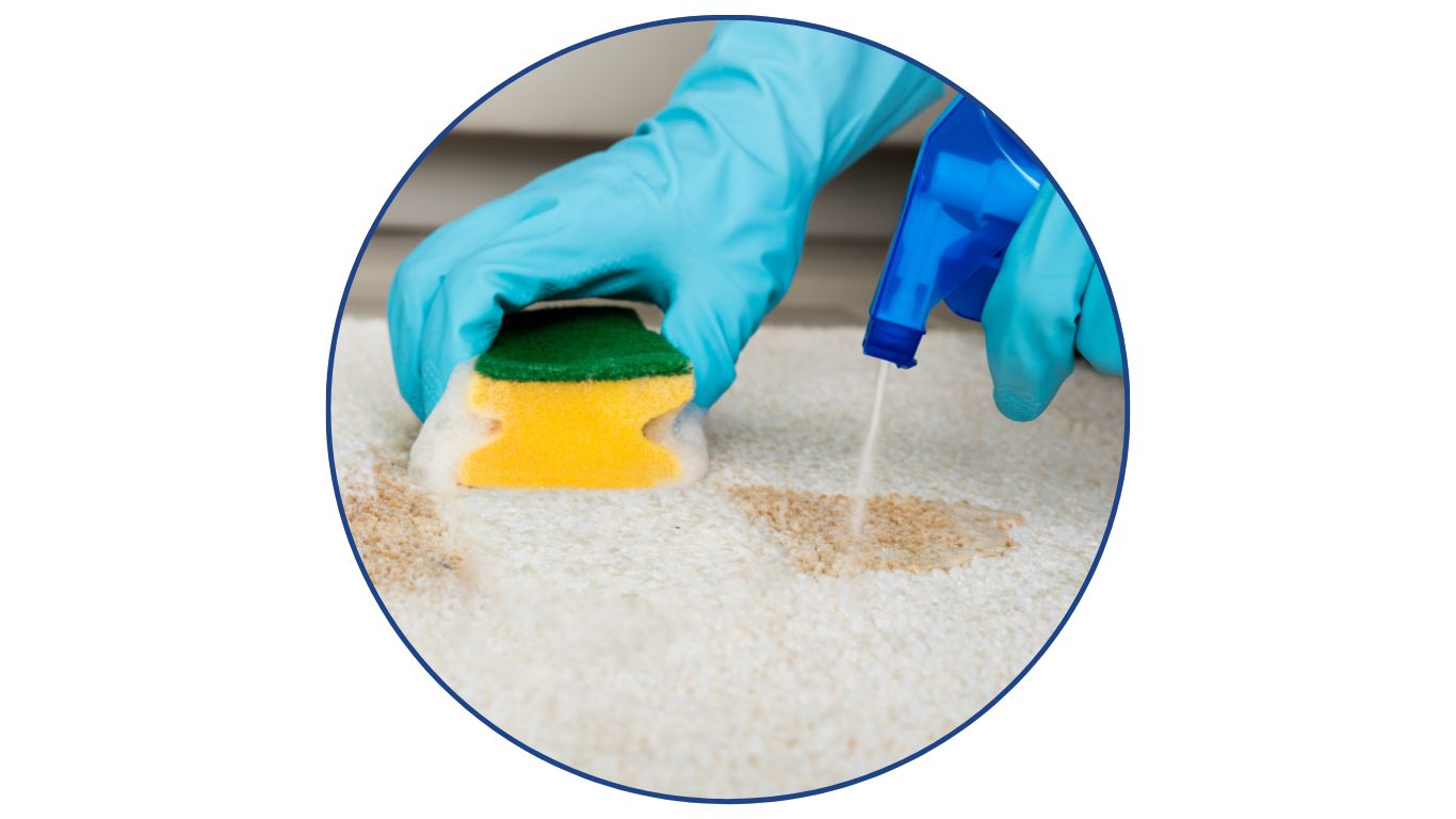 Stain Treatments